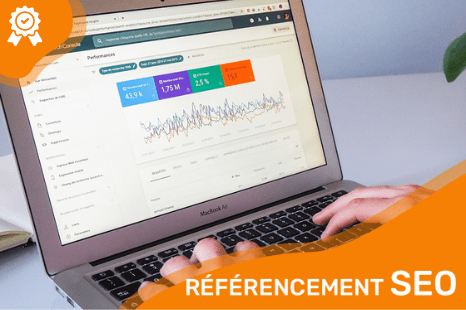 Référencement Naturel SEO